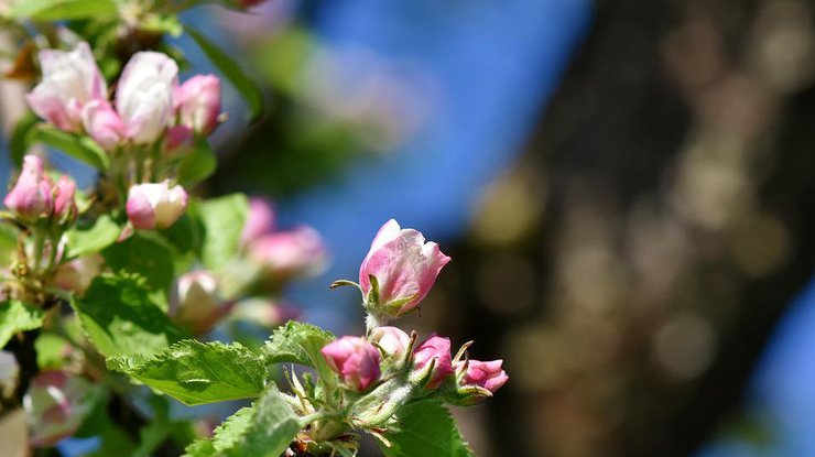 Пом'якшення карантину, дешевий газ, індексація пенсій та інші новини травня