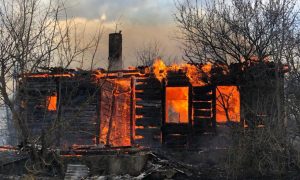 Масштабні пожежі на Луганщині: відкрито 7 проваджень, кількість жертв зростає - фото