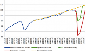 СОТ повідомляє про різке падіння торгівлі: оцінка першого півріччя та прогноз 