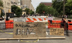 Протесты в США: под Белым домом демонстранты пытались свалить статую экс-президента