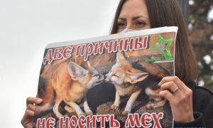 Верховную Раду призвали избавиться от вредных меховых ферм