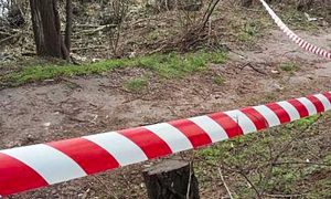 Фото: на популярному курорті Одеси знайшли сотні боєприпасів часів Другої світової війни