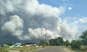 Видео: в Луганской области вспыхнул масштабный пожар, идет эвакуация