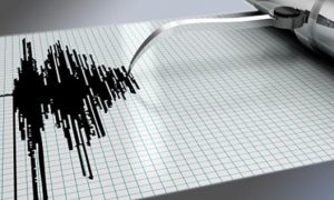 Научно доказано, что животные предчувствуют землетрясения