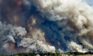 Занадто багато підозрілих збігів в пожежах на Луганщині