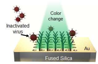 В США разработали мгновенный тестер на коронавирус