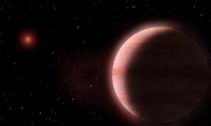 Ученые нашли гигантскую экзопланету с необычными характеристиками