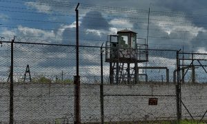 Фото: на Запорожье задержали женщину, которая рыла тоннель в тюрьму к сыну