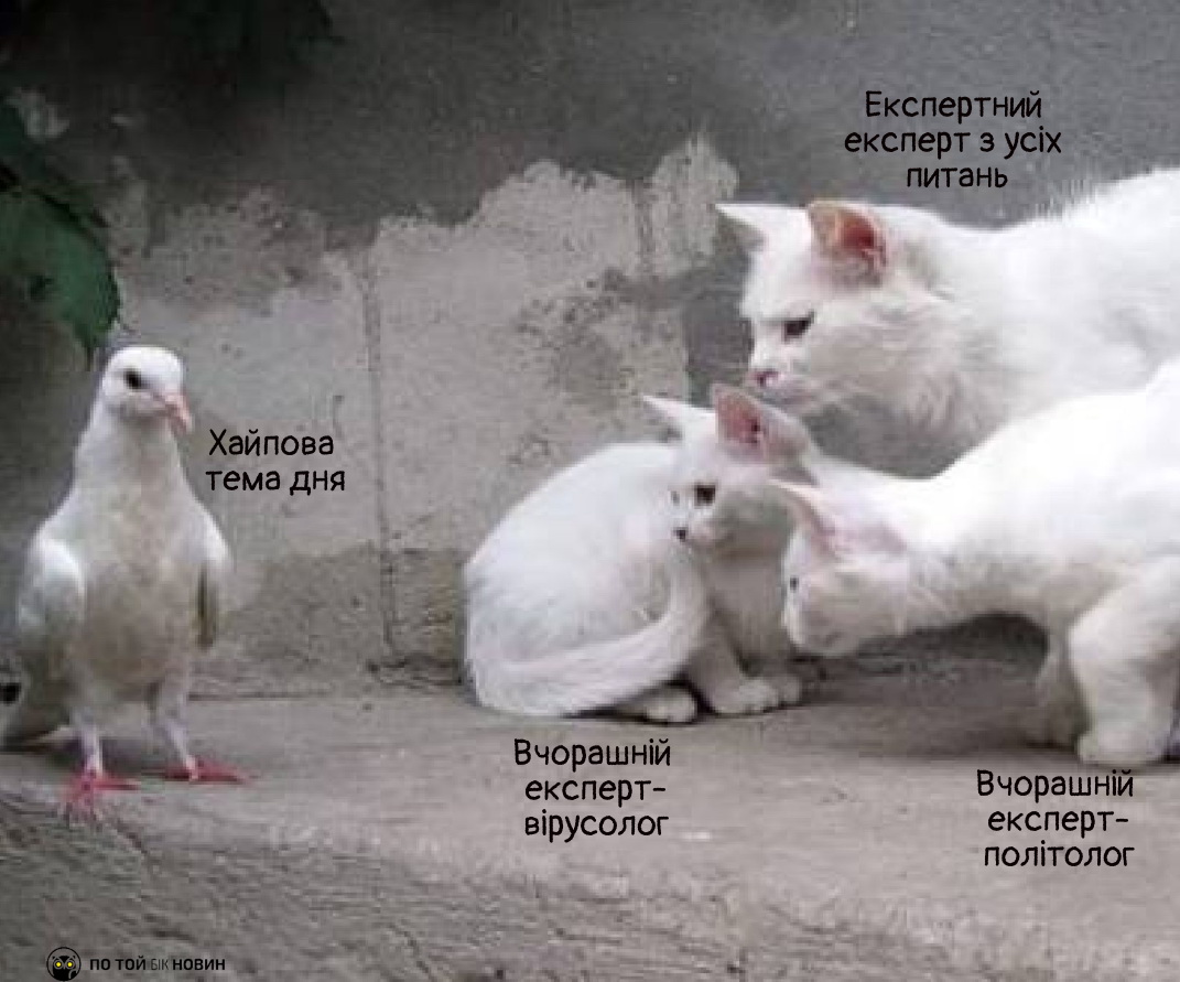 Як упізнати фейкового експерта