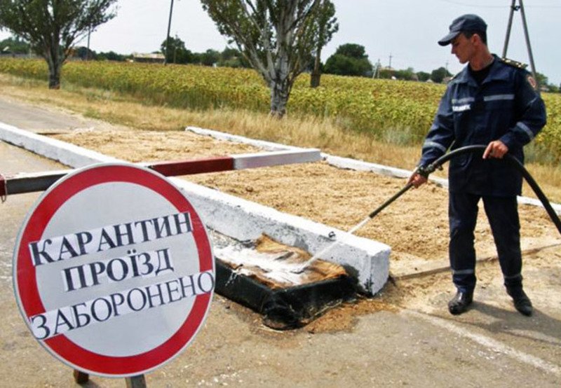 На Одещині знайшло хворого на сибірку