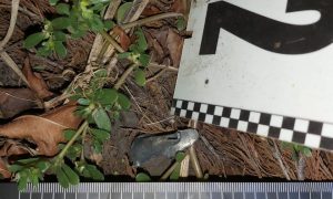 Фото: в одном из районов Харькова прогремел взрыв