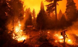 Фото, видео: западное побережье США охватили «адские» лесные пожары