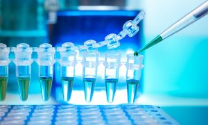 В Украине начали продавать поддельные справки о негативном результате на COVID-19