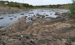 На водохранилище в Первомайске на Николаевщине произошло экокатастрофа
