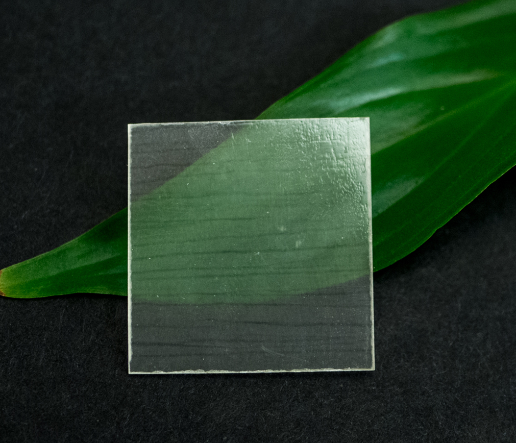 В США создали прозрачную древесину, которая сгибается и напоминает пластик