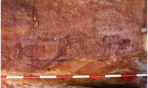 Фото: в Австралии нашли сотни необычных рисунков, которым 10 000 лет