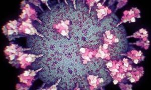 Фото: ученые представили самую точную в мире 3D-модель коронавируса COVID-19