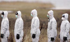 В ЕС может появиться независимое агентство по борьбе с эпидемиями