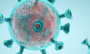 Число заражений COVID-19 в мире превысило 56,1 млн, жертв - почти 1,35 млн - университет Хопкинса