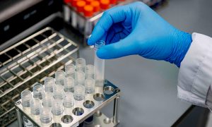 Руководство BioNTech сообщило, когда начинается защитный эффект вакцины 