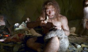 Ученые нашли доказательства, что древние люди умели впадать в спячку на зиму