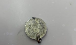 Иностранцу не дали вывезти из Украины скрипку 17 века