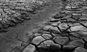 NASA заплатит компании $1 за сбор лунного грунта. Говорят, что научные преимущества важнее денег