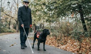 В Нидерландах создали имплант, который позволяет «видеть» без глаз