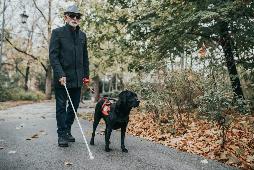 В Нидерландах создали имплант, который позволяет «видеть» без глаз