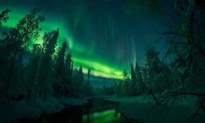 В небе над Лапландией заметили яркое северное сияние (фото)