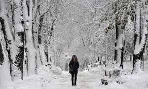 Идут морозы: прогноз погоды на завтра