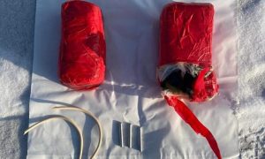 Фото: на Сумщине задержан экс-военный, который торговал взрывчаткой