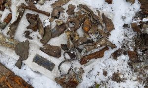 Фото: на Тернопільщині розкопали американський винищувач часів Другої світової