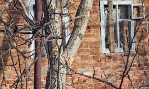 Фото: террористы на Донбассе обстреляли дома мирного населения