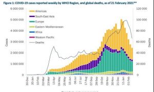 В ВОЗ сообщили, как изменилась динамика «ковидной» смертности