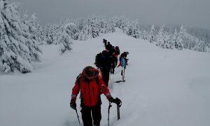 Фото: военные ВСУ и НАТО вместе отправились в путешествие зимними Карпатами