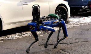 Видео: как робот-собака Boston Dynamics служит в полиции Нью-Йорка