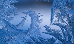 Синоптики прогнозируют морозы до -17