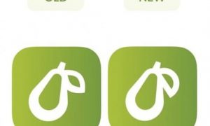 Apple разрешила кулинарному приложению использовать логотип с грушей. Но пришлось изменить листок у плода