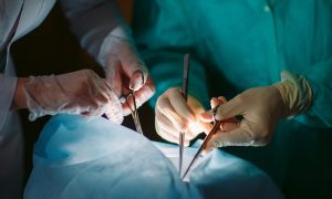 Украина открывает рынок биоимплантов для трансплантации