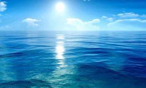 Универсальность человеческого иммунитета под сомнением: что нашли учёные в океане