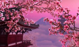 У Токіо рекордно рано розквітла сакура