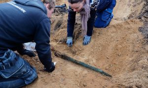 Уникальная находка в Дании. Бронзовый меч возрастом 3000 лет отлично сохранился: фото