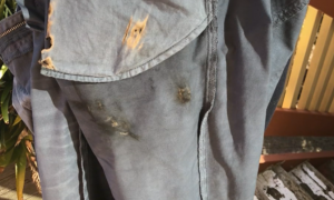 Фото: на Apple подали в суд из-за взрыва iPhone