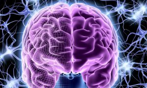 В Китае собрали «нейтробота» для доставки лекарств прямо в мозг