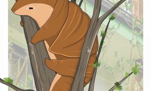 В Кракове спасателей вызвали на помощь животному, которое оказалось круассаном