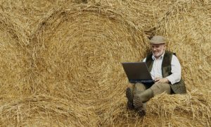 Кабмин одобрил предоставление средств на обеспечение украинских сел скоростным интернетом