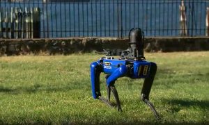 Робопса Boston Dynamics выгнали из полиции Нью-Йорка