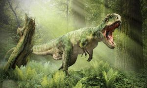 Ученые подсчитали, сколько тираннозавров ходило по Земле за всю историю: в среднем два с половиной миллиарда