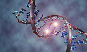 Ученые установили, что коронавирус проникает в человеческую ДНК